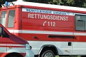 LKW faehrt in den Rhein Langel Hitdorf Faehre P170